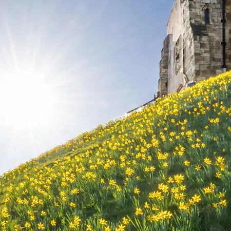 View With Hot Tub Ferienhaus *