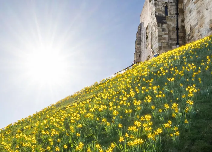 View With Hot Tub Holiday home *